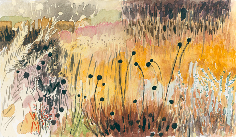 Watercolor of meadow of dried wild flowers in masses of burnished yellow, rust, pink and dark brown